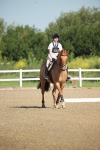 SBM_007337