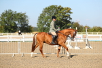 SBM_02182
