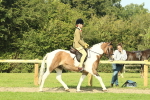 SBM_67439