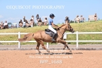 BPP_1688