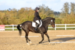 SBM_003349