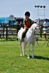 SBM_06447