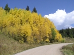 Fall on Boreas Pass