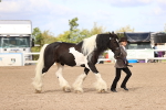 SBM_09335
