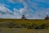 DSCF8853