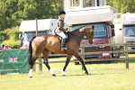 SBM_14837