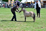SBM_03607