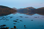 Loch Fyne - DSC_5832_00037