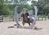 BPP_8198