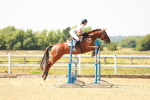 SBM_001920