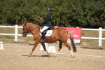 SBM_013743