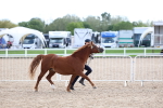 SBM_18732