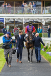 150526-Race 3-Warrant Holder-7584