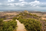 Agglestone Path