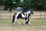 WJ7_9615