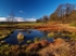 Rocher Bog