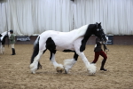 SBM_5648