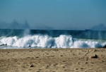 Paint Beach Wave
