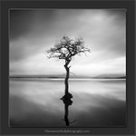 Solitude