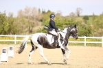 SBM_007965