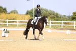 SBM_003629