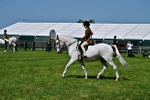 SBM_03741