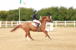 SBM_006921