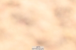 250621-091403-06994