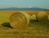 Haybails Tennessee