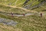Hartsop Hop-227