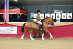 SBM_00871