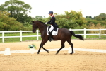 SBM_007101