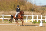 SBM_000481