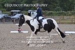 BPP_6947