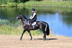 WJ7_6945