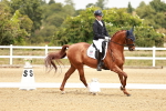 SBM_003644