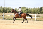 SBM_008022