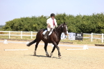 SBM_003606