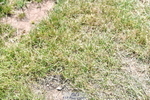 260705A-133023-20110