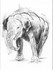 "young elephant"