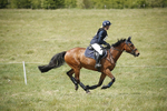BVHT 140517  IXC -736