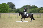 WJ6_8877
