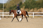 SBM_013517
