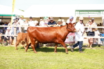 SBM_08370