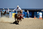 3HRodeo8-11-25_PRCASteer_03916_