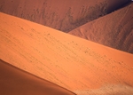 sandune abstract