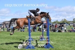 BPP_6090