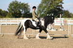 SBM_03101