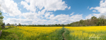 _WDB6257-Pano