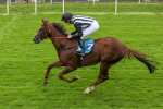 230923-Race 2-Palamon-5257